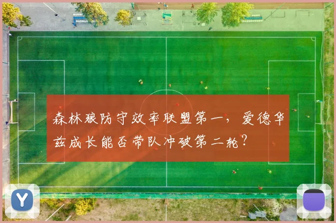 森林狼防守效率联盟第一，爱德华兹成长能否带队冲破第二轮？
