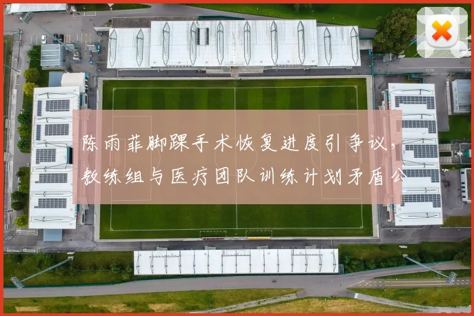 陈雨菲脚踝手术恢复进度引争议，教练组与医疗团队训练计划矛盾公开化